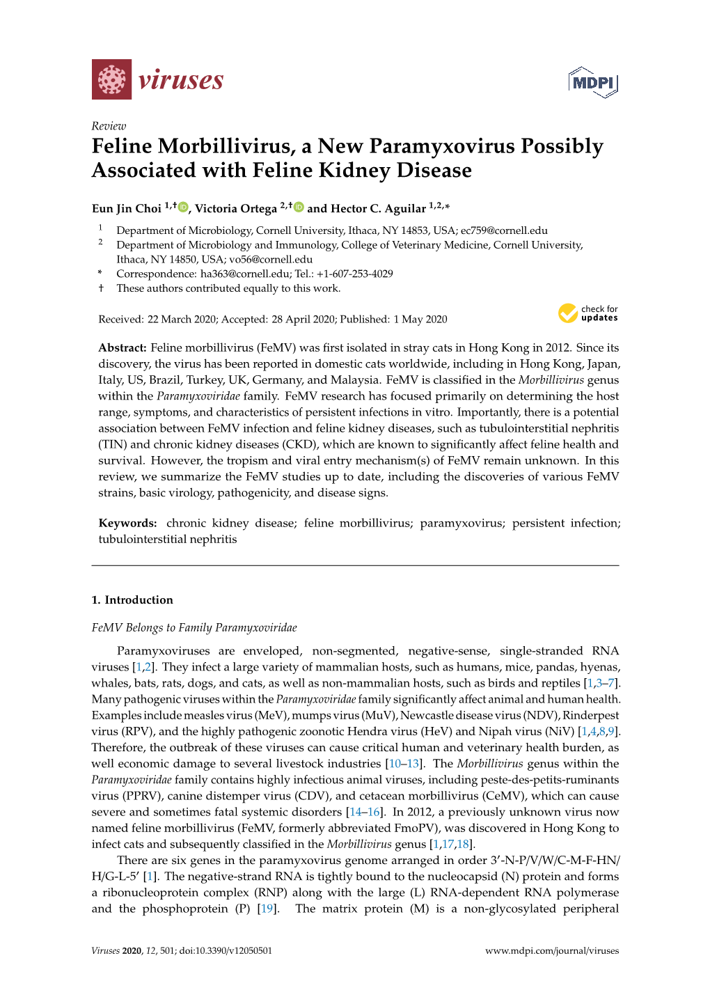 Feline Morbillivirus, a New Paramyxovirus Possibly Associated with Feline Kidney Disease