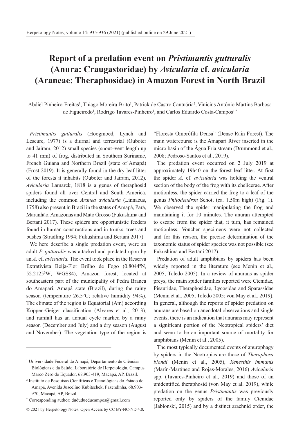 Report of a Predation Event on Pristimantis Gutturalis (Anura: Craugastoridae) by Avicularia Cf