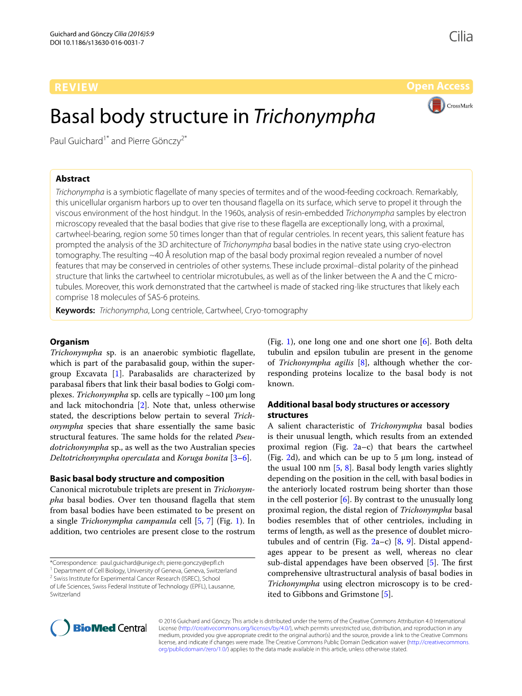 Basal Body Structure in Trichonympha Paul Guichard1* and Pierre Gönczy2*