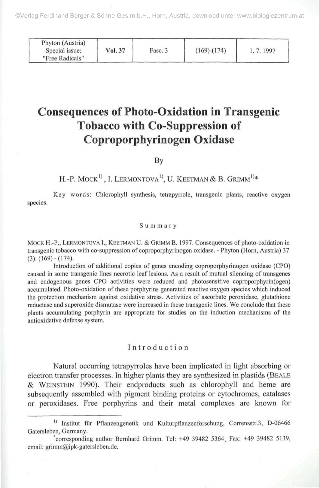 Consequences of Photo-Oxidation in Transgenic Tobacco with Co-Suppression of Coproporphyrinogen Oxidase