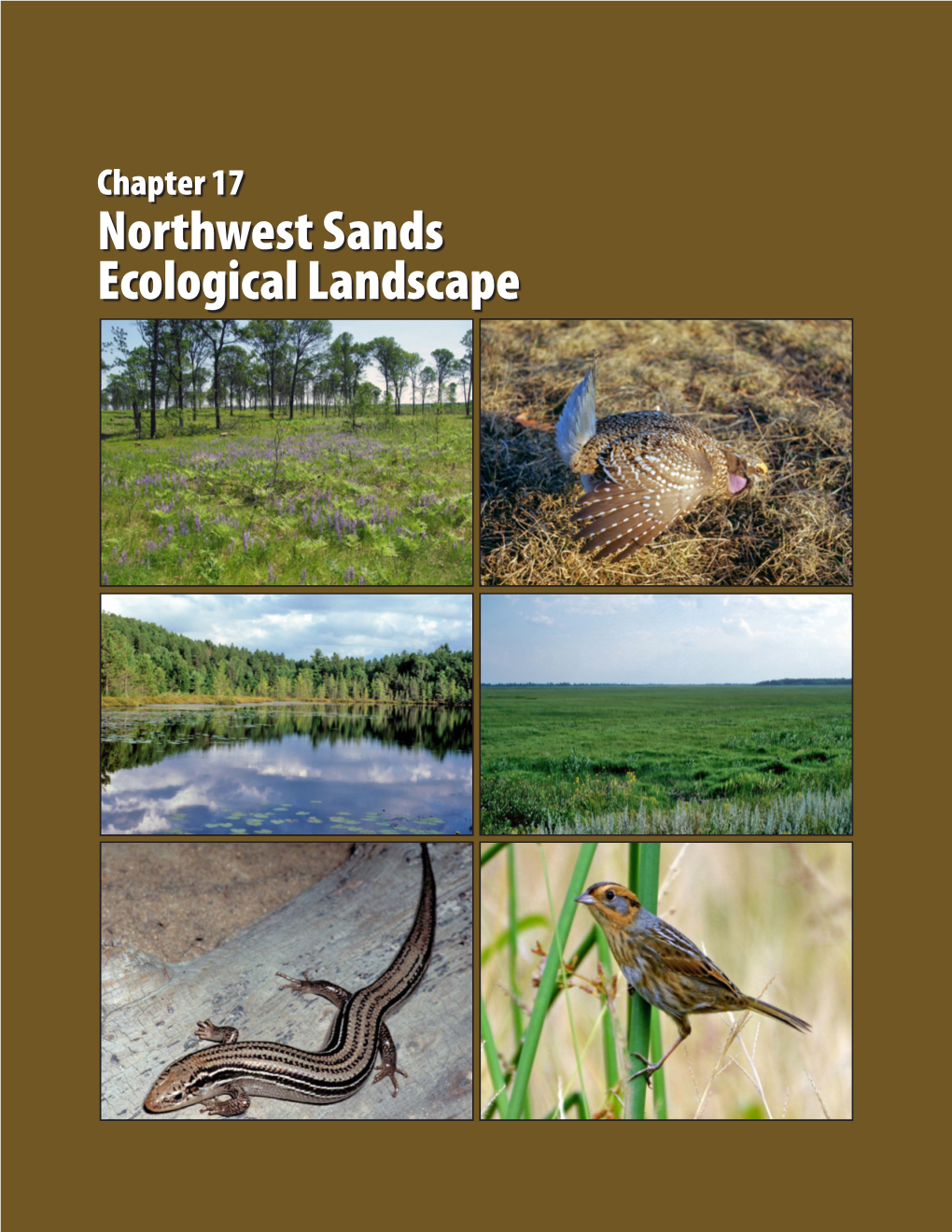 Northwest Sands Ecological Landscape