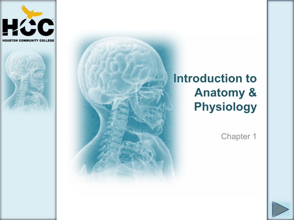 Introduction to Anatomy & Physiology