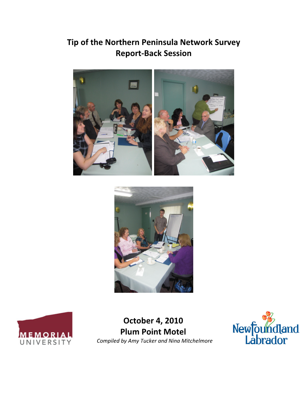Tip of the Northern Peninsula Network Survey Report-Back Session
