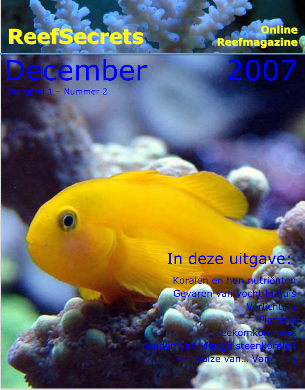 December 2007 Jaargang 1 – Nummer 2