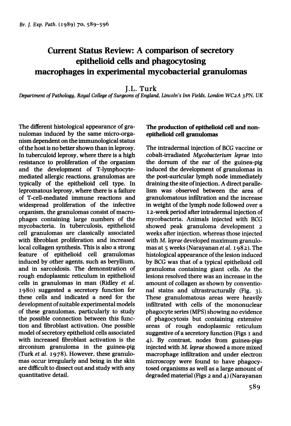 Epithelioid Cells and Phagocytosing Macrophages in Experimental Mycobacterial Granulomas J.L