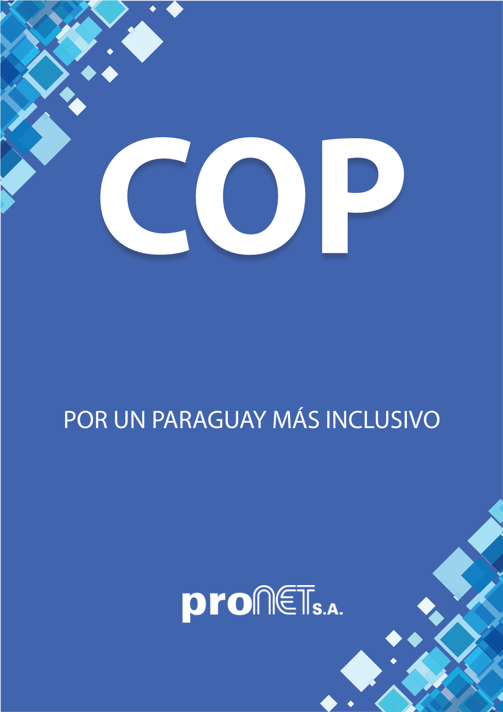 POR UN PARAGUAY MÁS INCLUSIVO Responsables De RSE