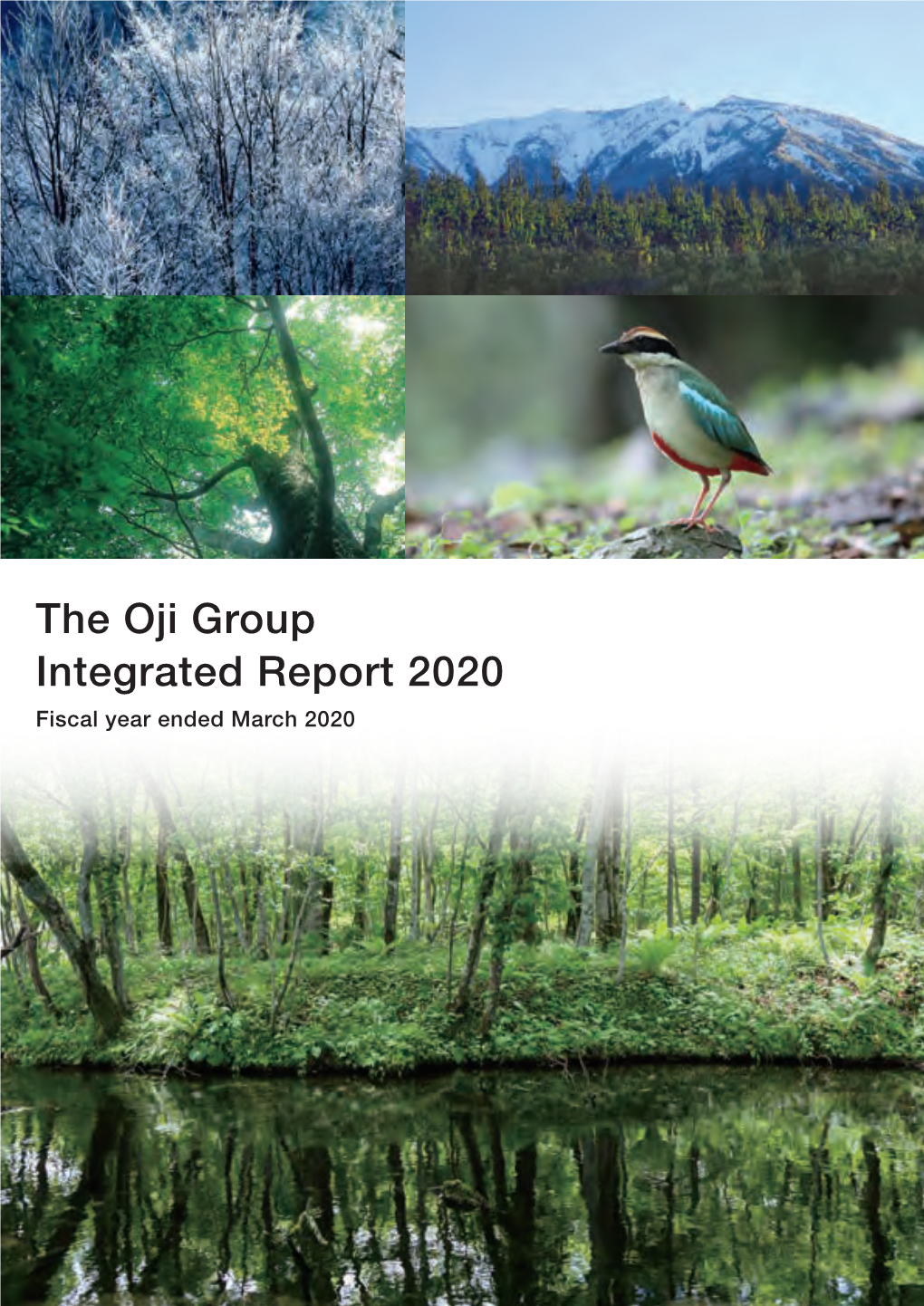 The Oji Group Integrated Report 2020