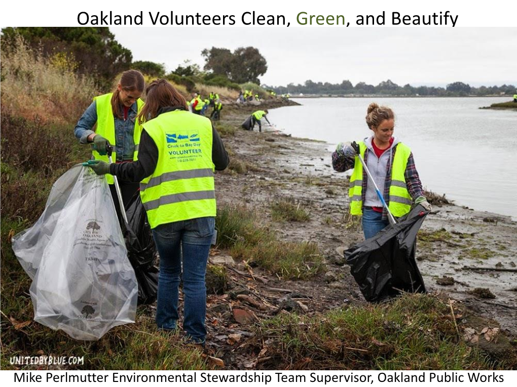 Oakland Volunteers Clean, Green, and Beautify