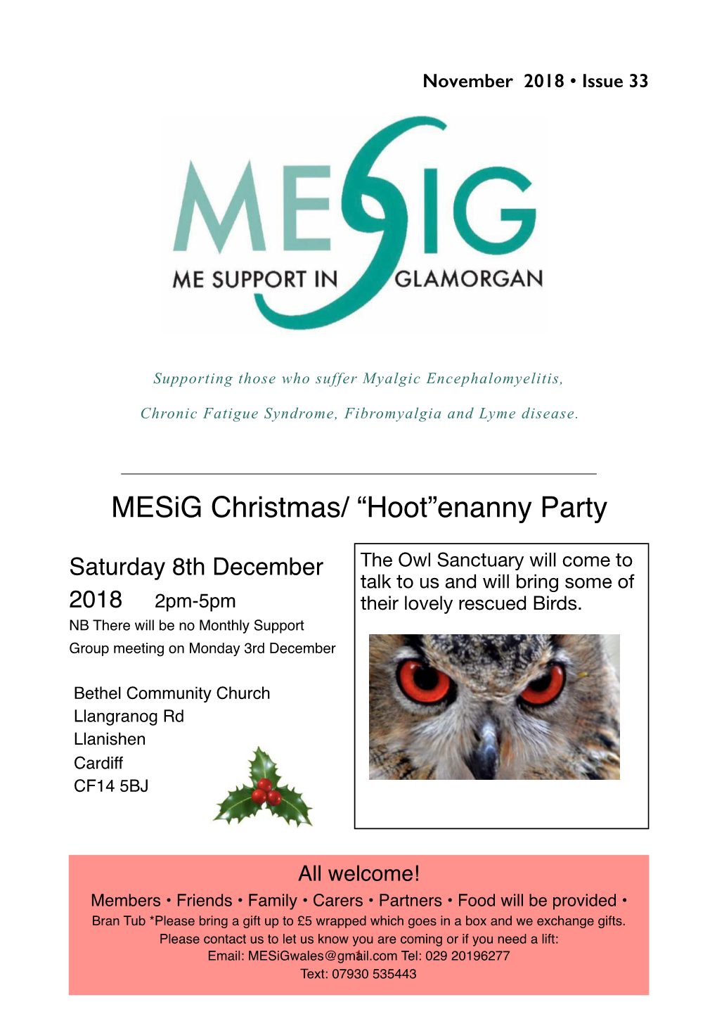 Mesig Christmas/ “Hoot”Enanny Party