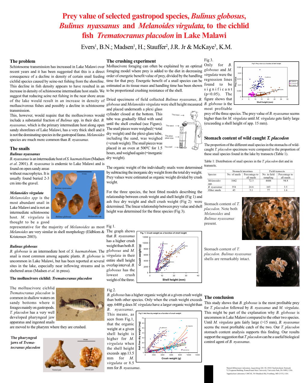 Prey Value of Selected Gastropod Species, Bulinus Globosus, Bulinus Nyassanus and Melanoides Virgulata, to the Cichlid Fish Tr