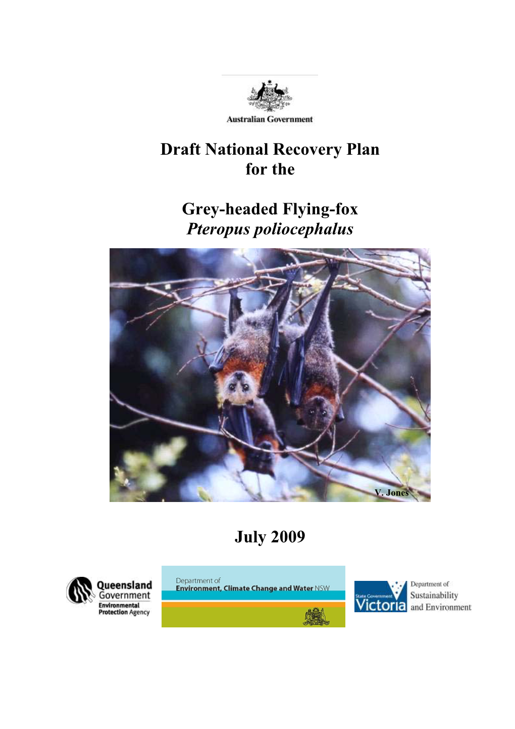 Draft National Recovery Plan for the Grey-Headed Flying-Fox Pteropus Poliocephalus