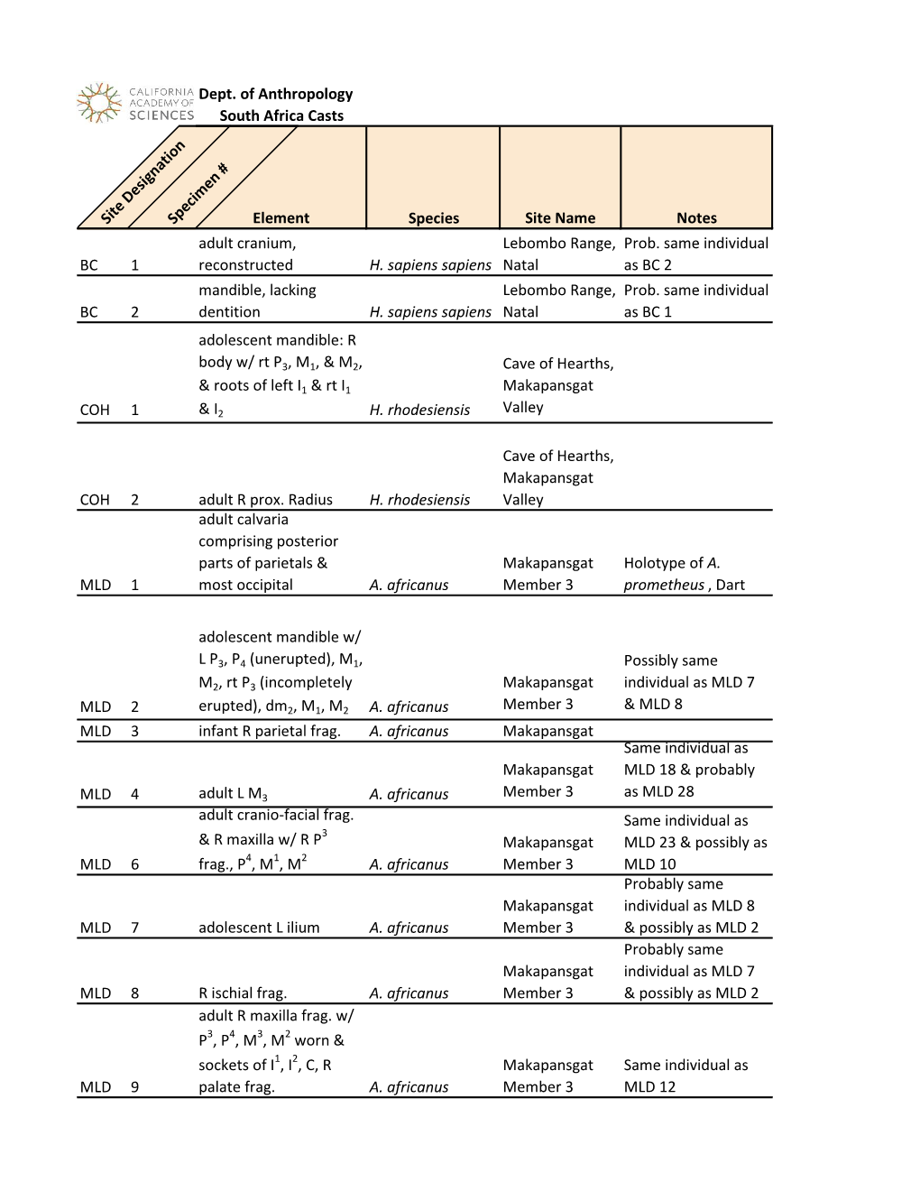 Hominins from South Africa