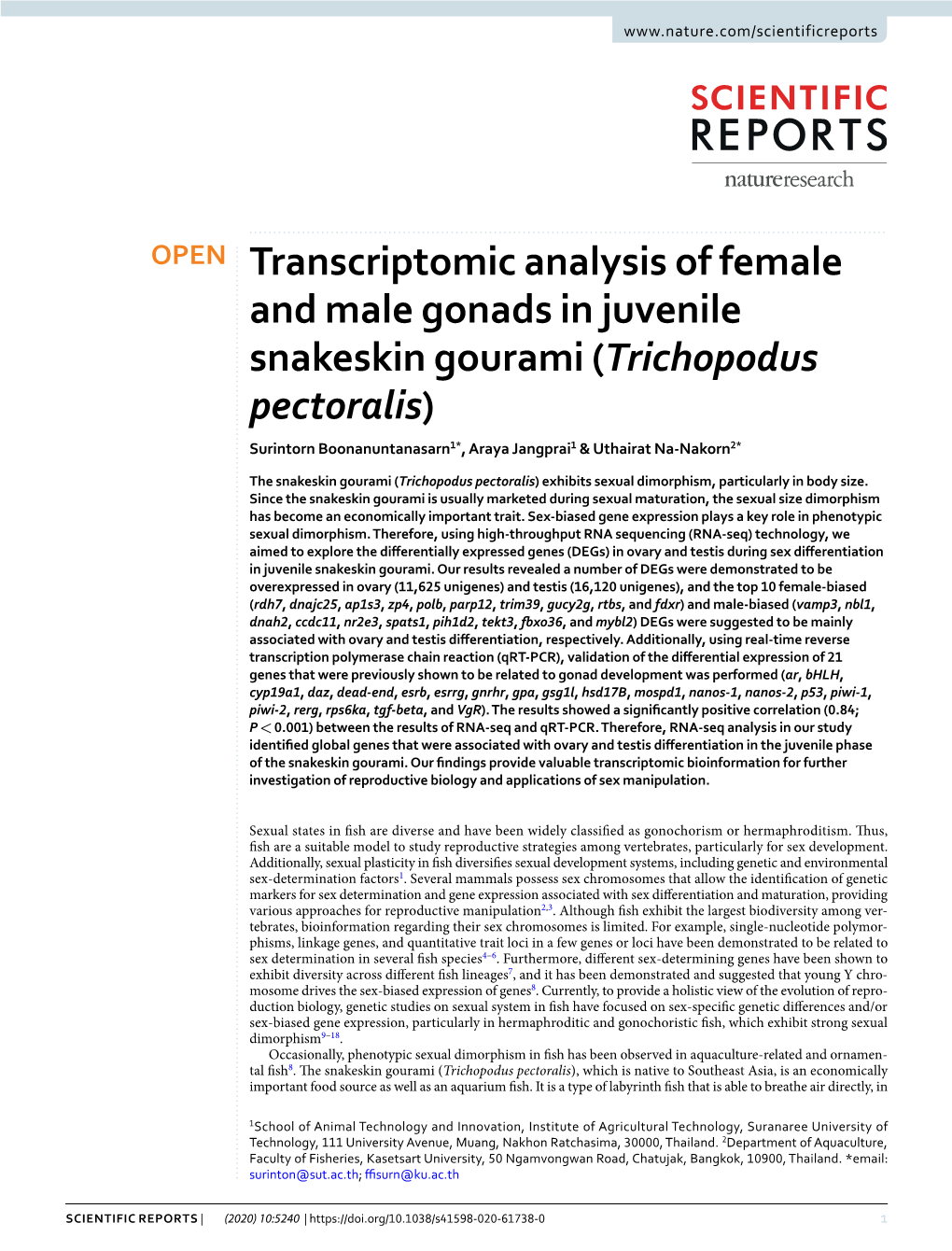 Transcriptomic Analysis of Female and Male Gonads in Juvenile Snakeskin