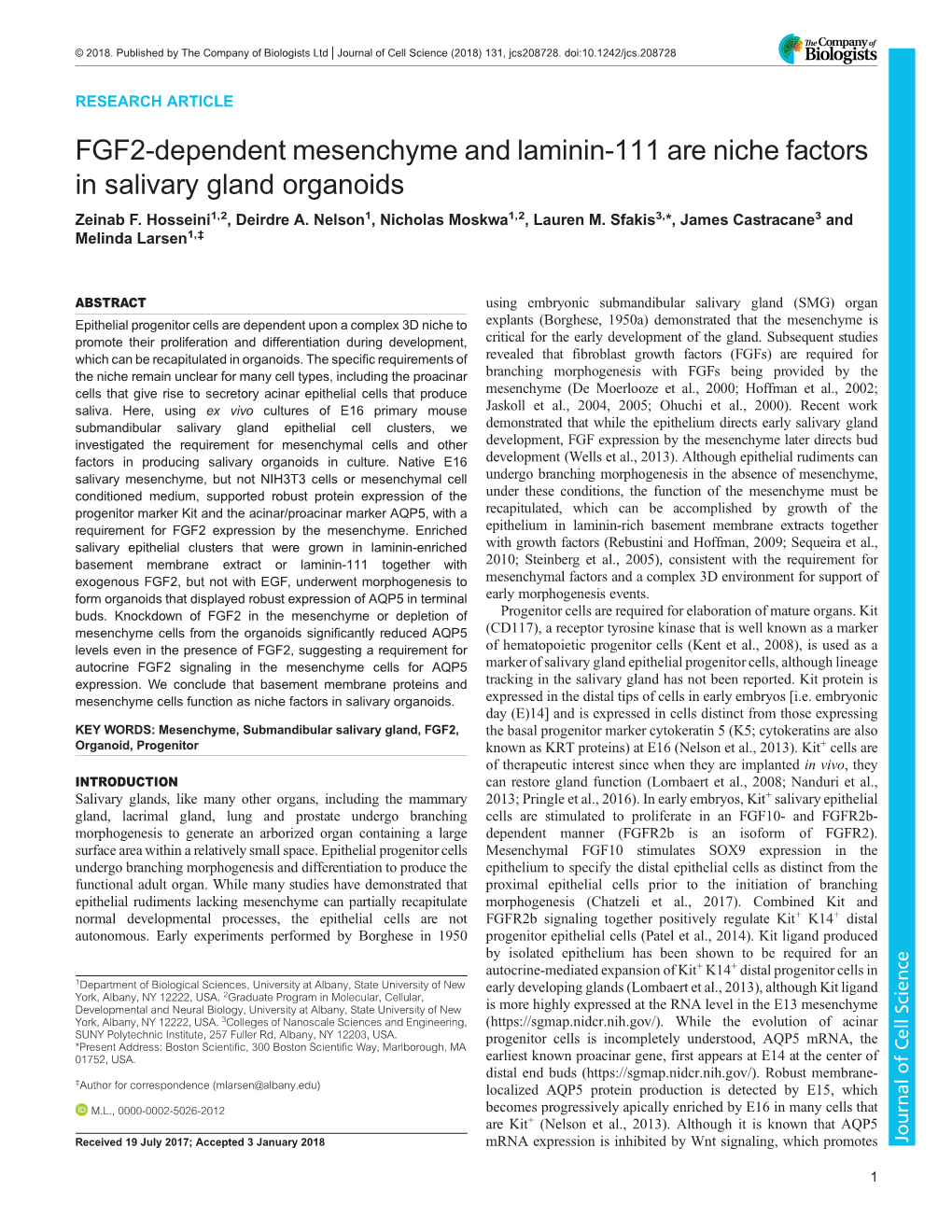 FGF2-Dependent Mesenchyme and Laminin-111 Are Niche Factors in Salivary Gland Organoids Zeinab F