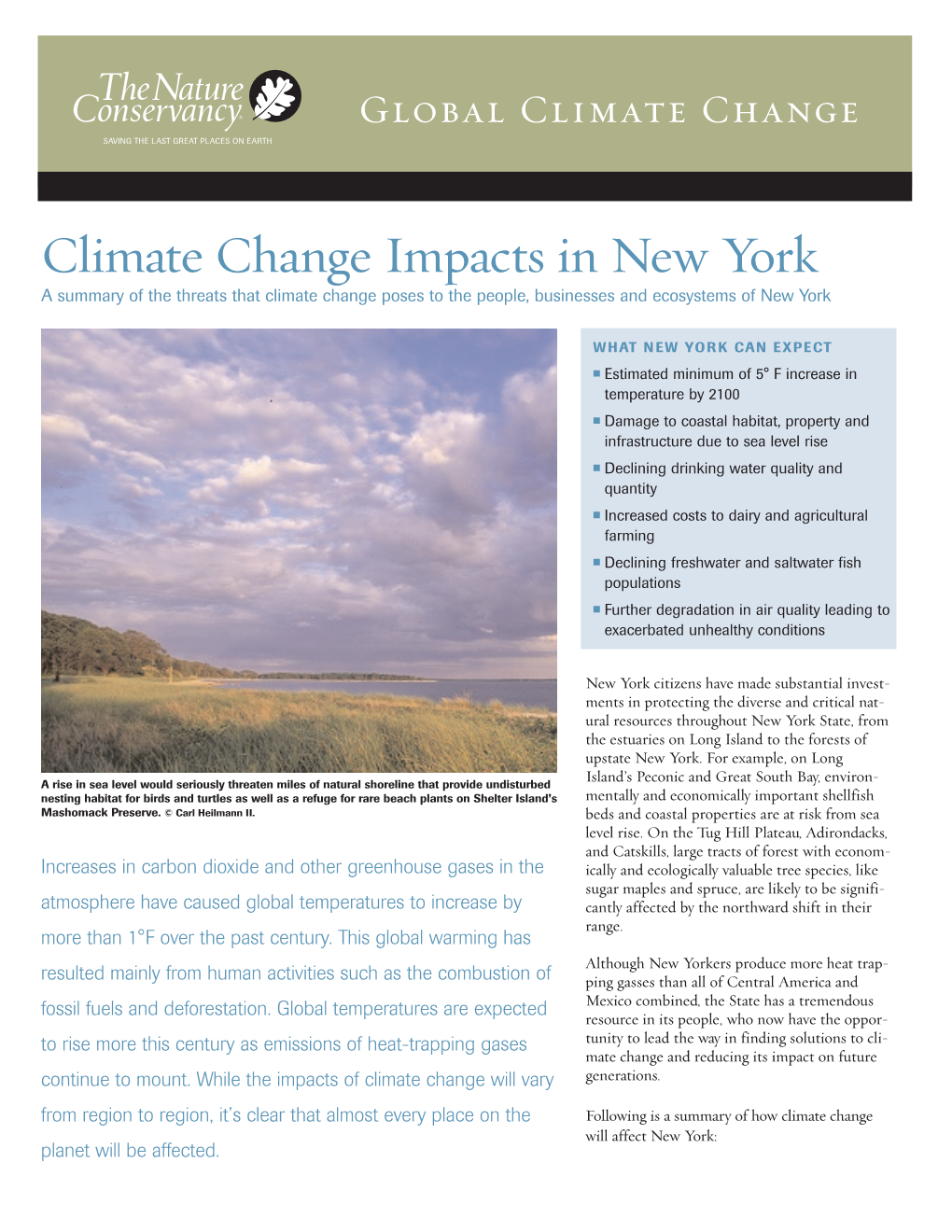 Climate Change Impacts in New York a Summary of the Threats That Climate Change Poses to the People, Businesses and Ecosystems of New York