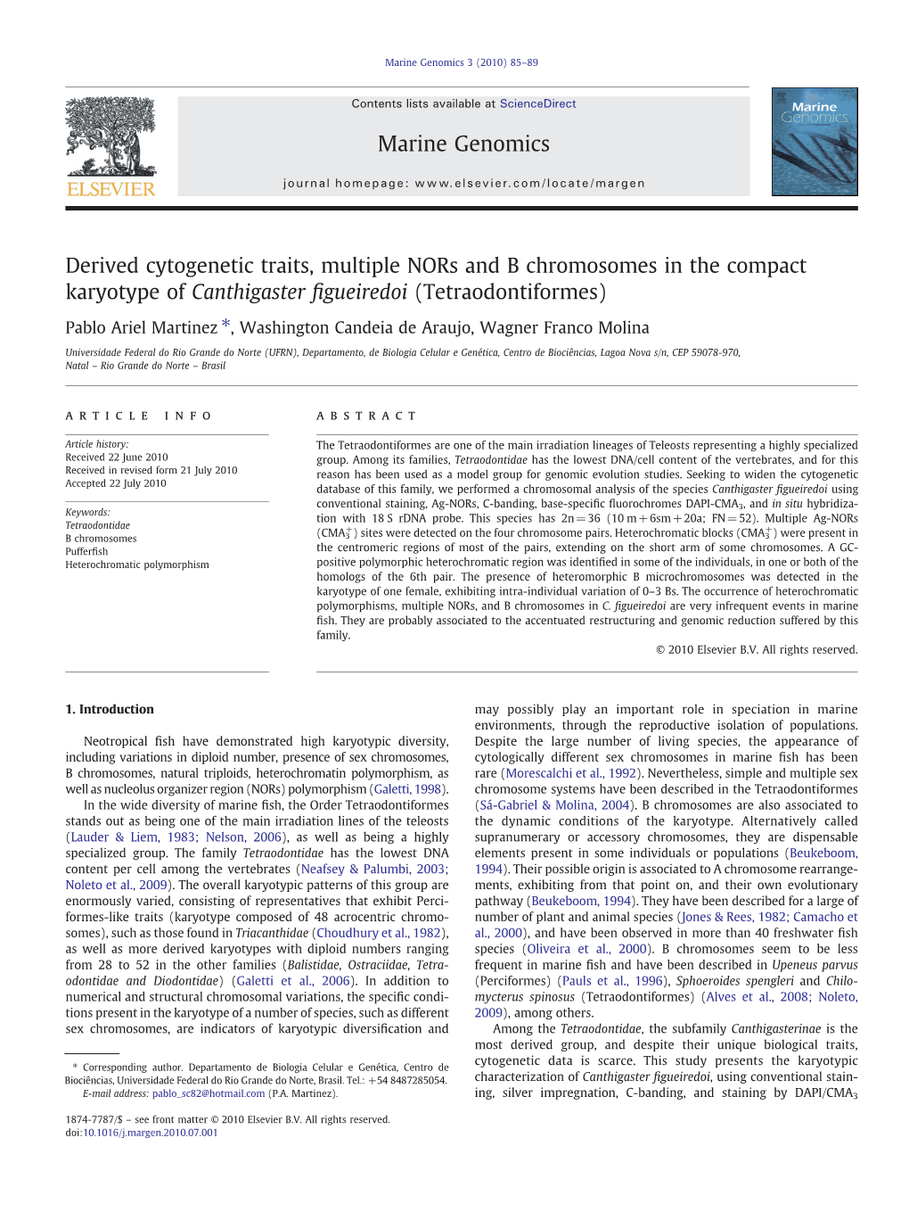 Derived Cytogenetic Traits, Multiple Nors and B Chromosomes in the Compact Karyotype of Canthigaster Figueiredoi (Tetraodontifor