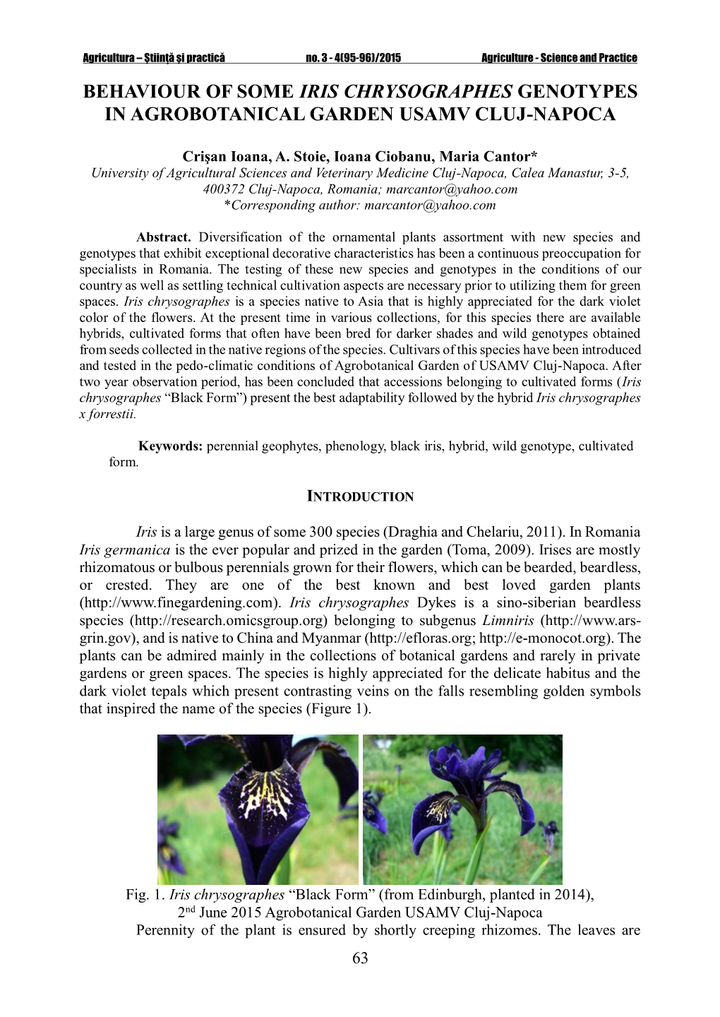 Behaviour of Some Iris Chrysographes Genotypes in Agrobotanical Garden Usamv Cluj-Napoca