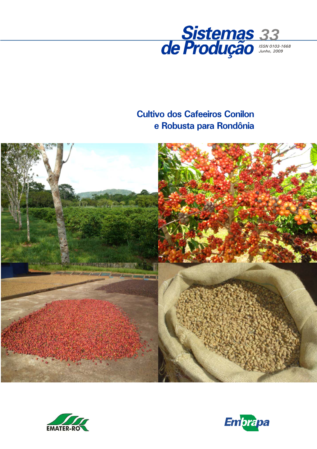 Cultivo Dos Cafeeiros Conilon E Robusta Para Rondônia