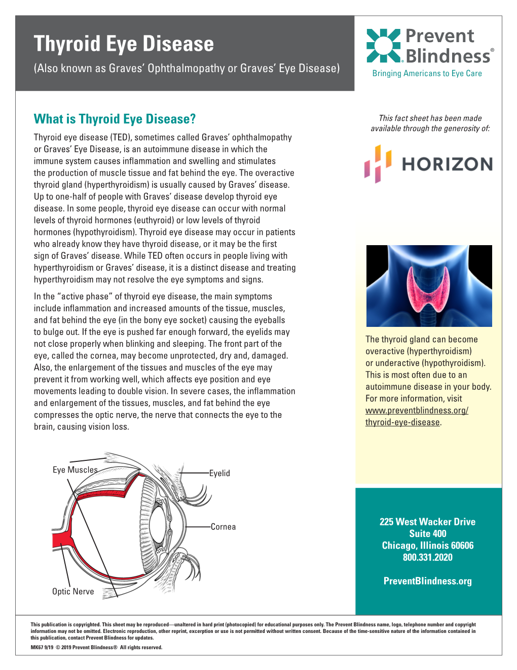 Thyroid Eye Disease (TED)