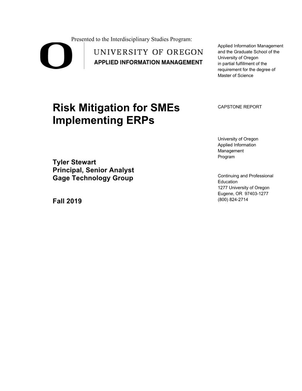 Risk Mitigation for Smes Implementing Erps