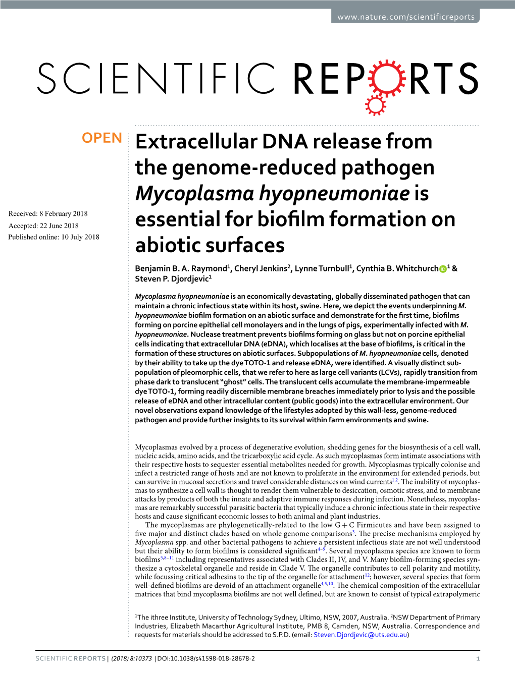 Extracellular DNA Release from the Genome-Reduced Pathogen Mycoplasma Hyopneumoniae Is Essential for Biofilm Formation on Abioti