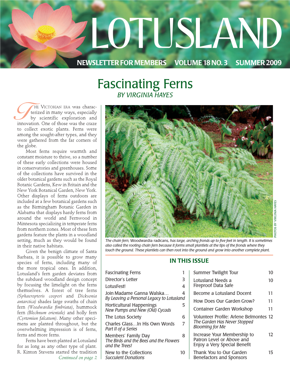 Fascinating Ferns by VIRGINIA HAYES