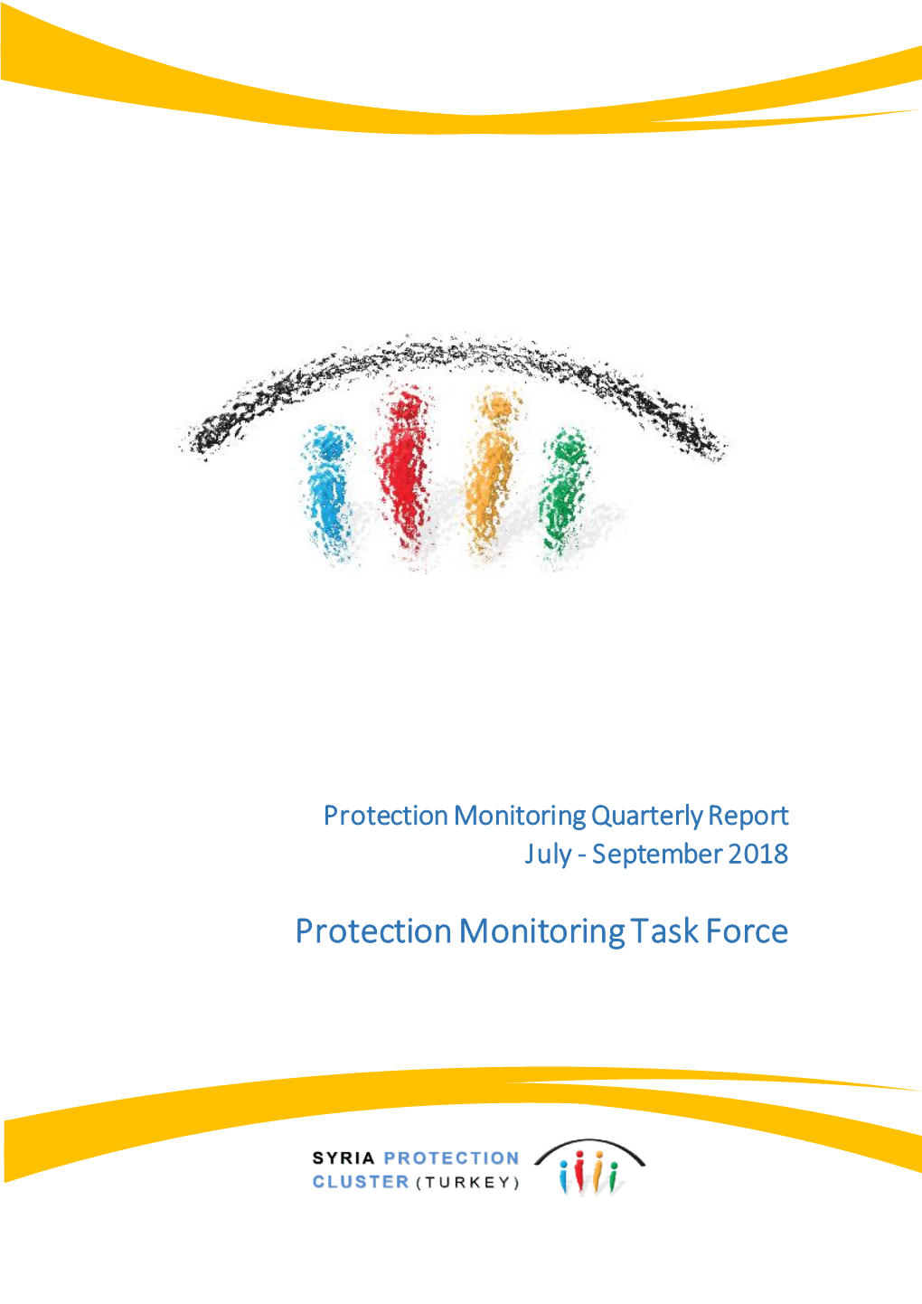 Protection Monitoring Task Force