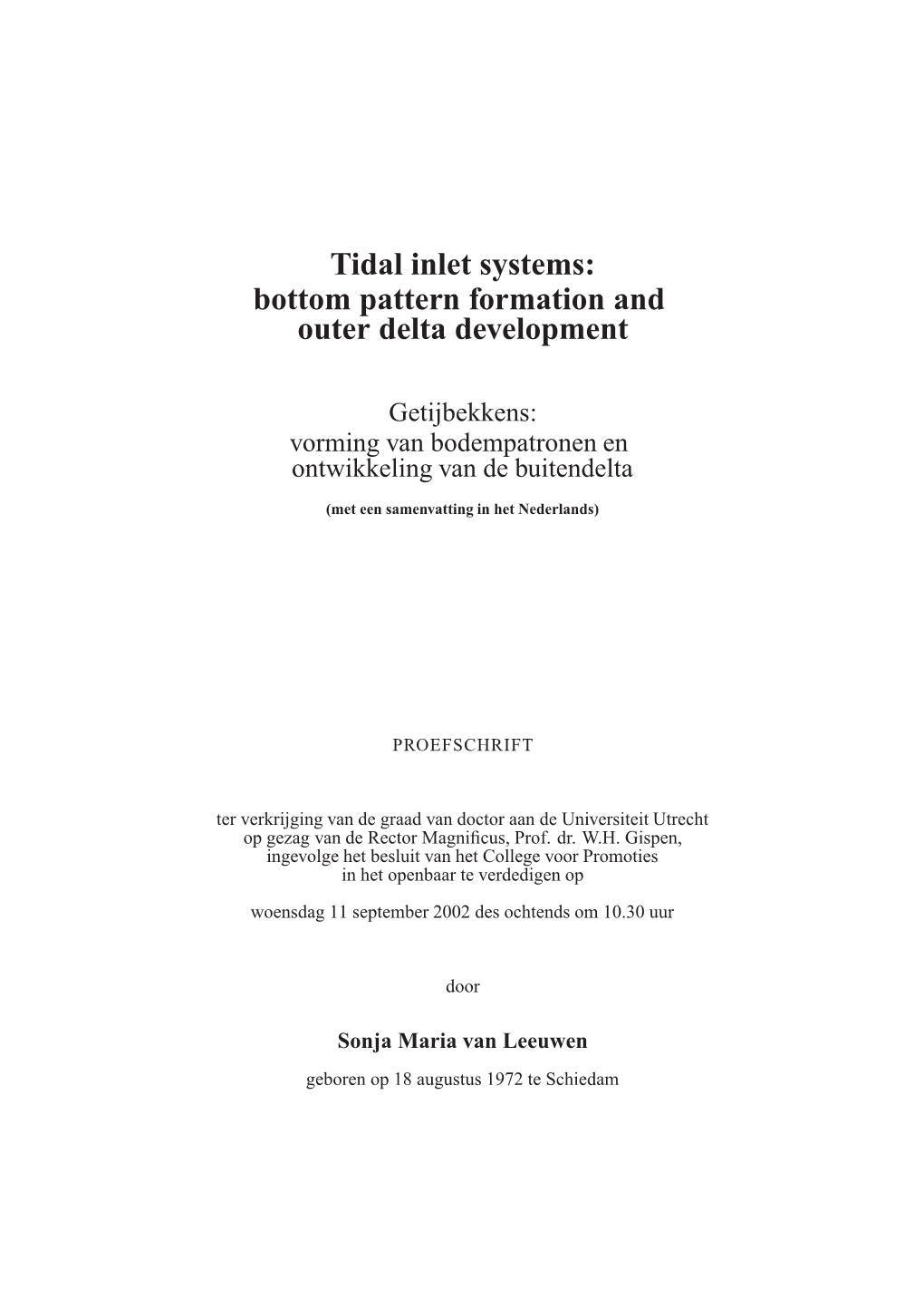 Tidal Inlet Systems: Bottom Pattern Formation and Outer Delta Development