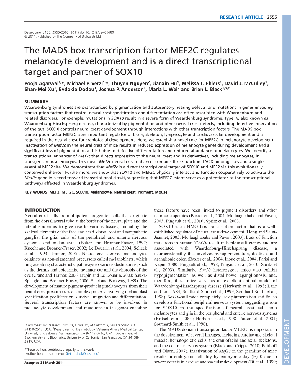 The MADS Box Transcription Factor MEF2C Regulates Melanocyte Development and Is a Direct Transcriptional Target and Partner of SOX10 Pooja Agarwal1,*, Michael P