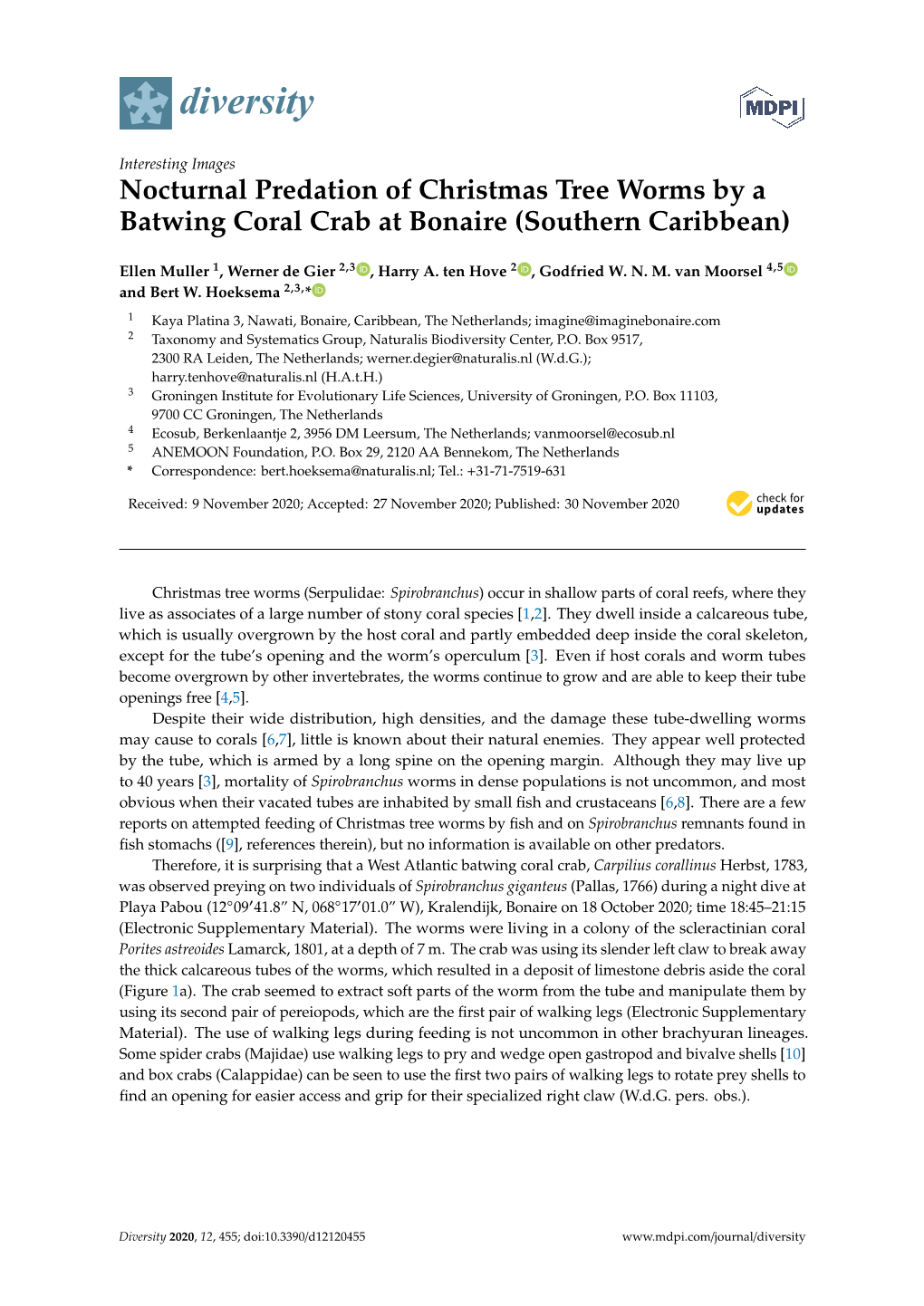 Nocturnal Predation of Christmas Tree Worms by a Batwing Coral Crab at Bonaire (Southern Caribbean)