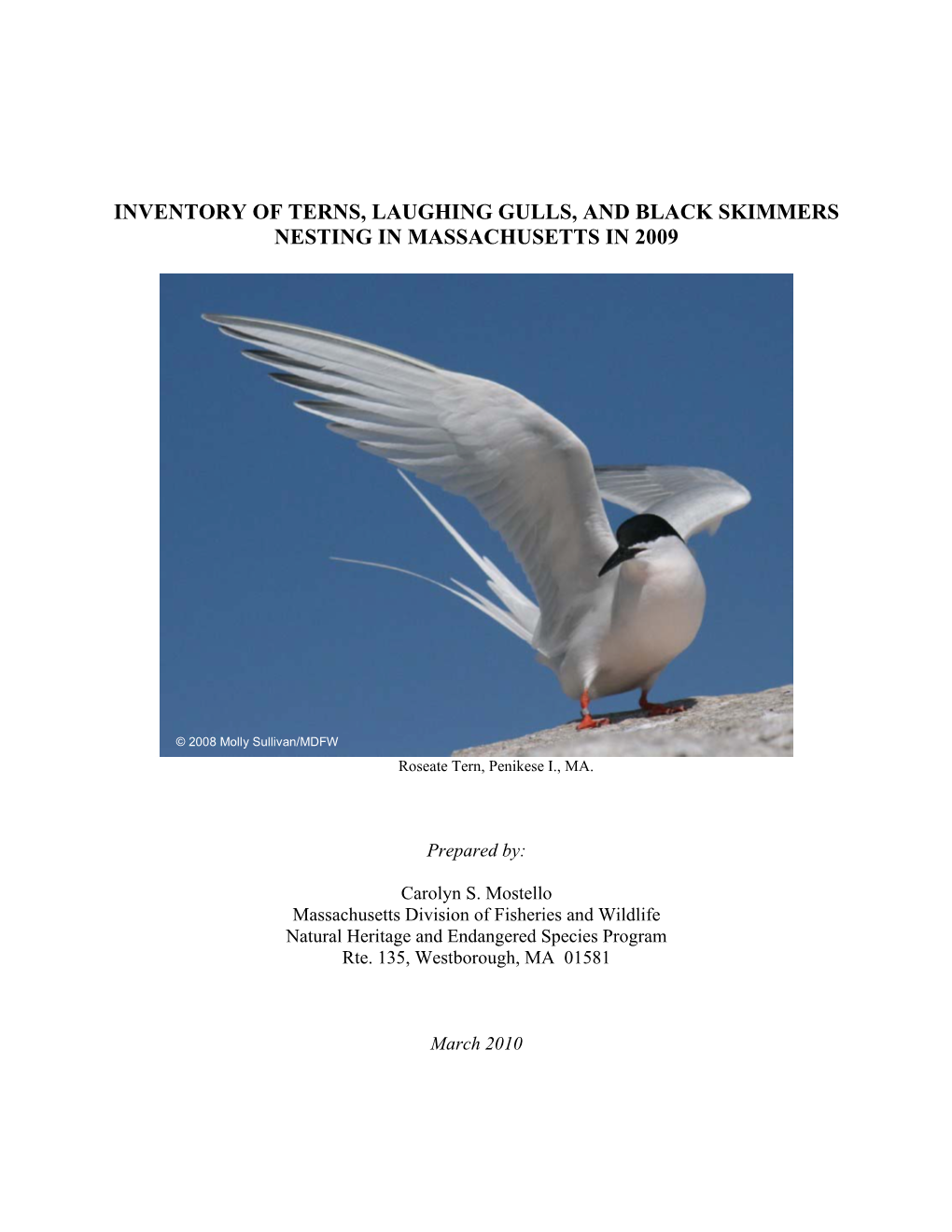 Inventory of Terns, Laughing Gulls, and Black Skimmers Nesting in Massachusetts in 2009