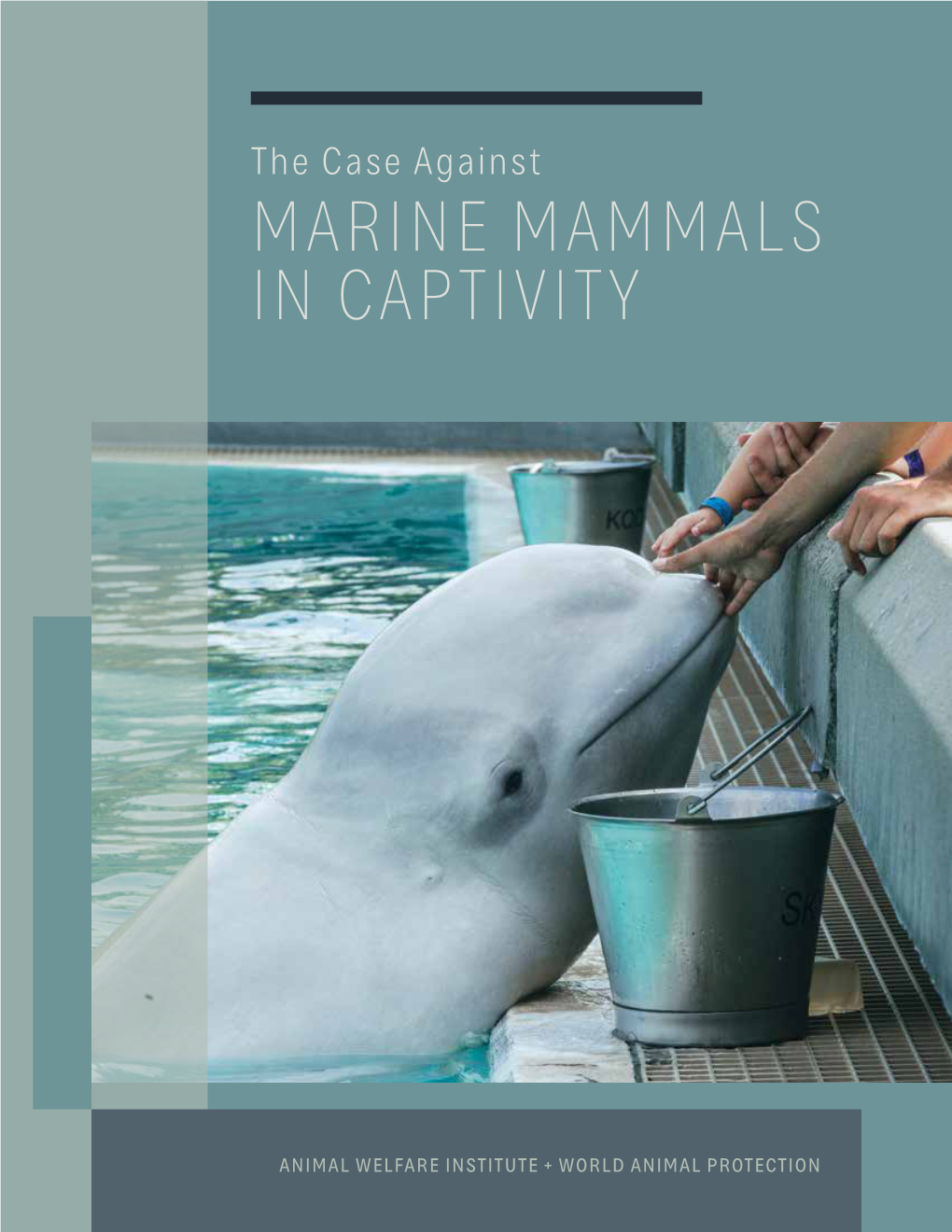 The Case Against MARINE MAMMALS in CAPTIVITY