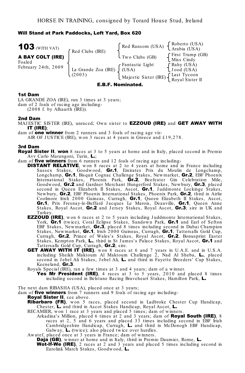 HORSE in TRAINING, Consigned by Torard House Stud, Ireland
