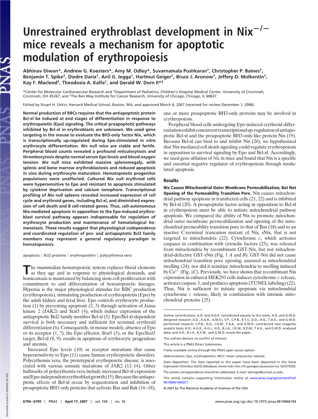 Unrestrained Erythroblast Development in Nix Mice Reveals A