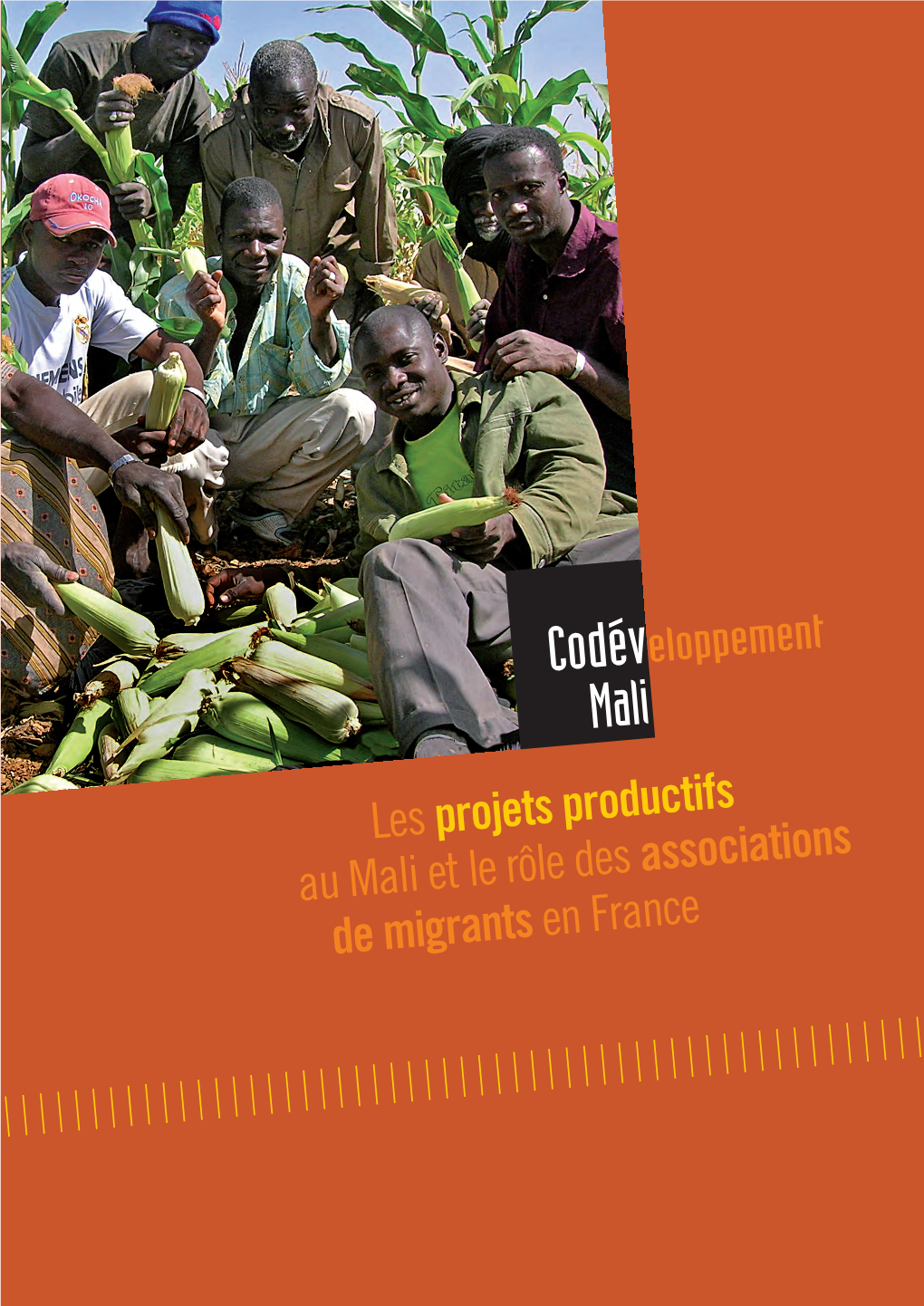Lesprojetsproductifs Au Mali Et Lerôledes Associations De Migrants