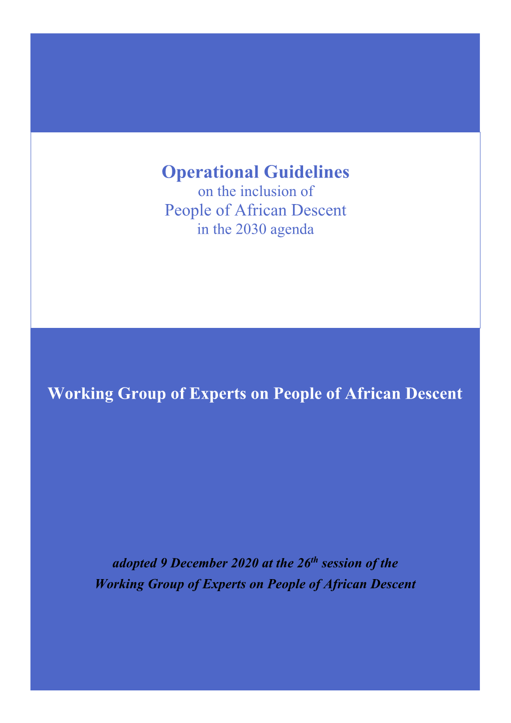 Operational Guidelines on Inclusion of People of African Descent in the 2030 Agenda