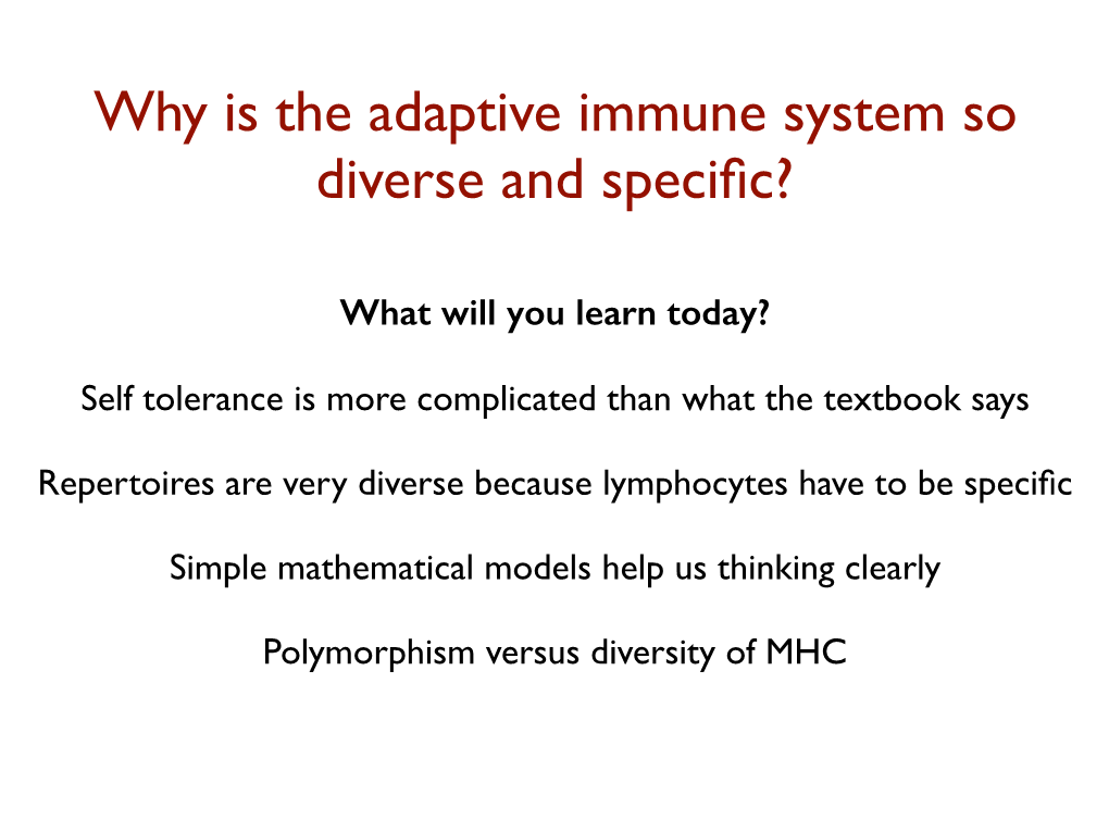 Why Is the Adaptive Immune System So Diverse and Specific?