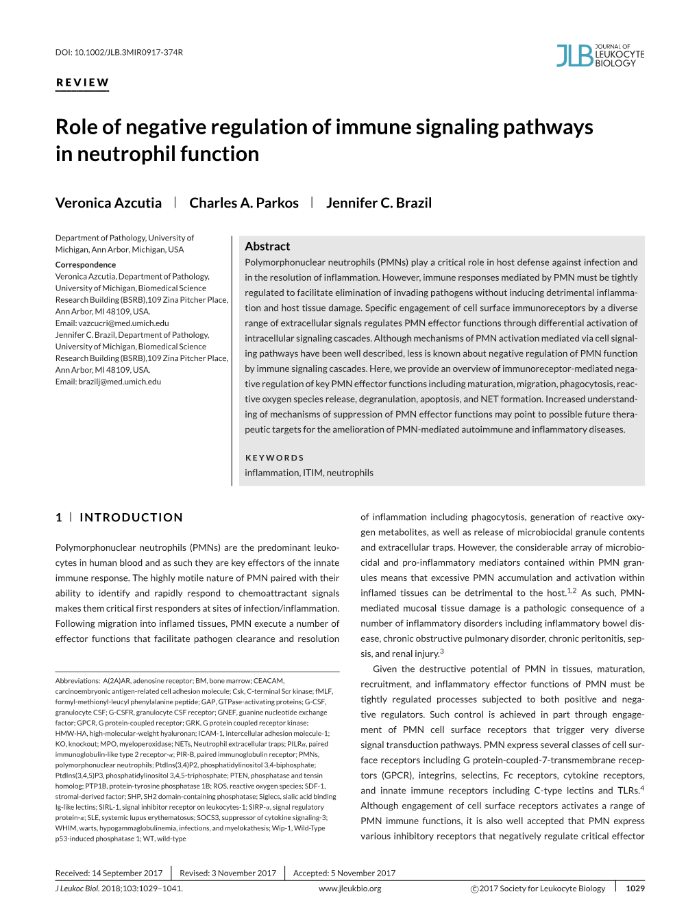 Role of Negative Regulation of Immune Signaling Pathways in Neutrophil Function