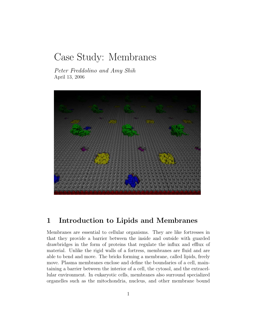 Case Study: Membranes Peter Freddolino and Amy Shih April 13, 2006