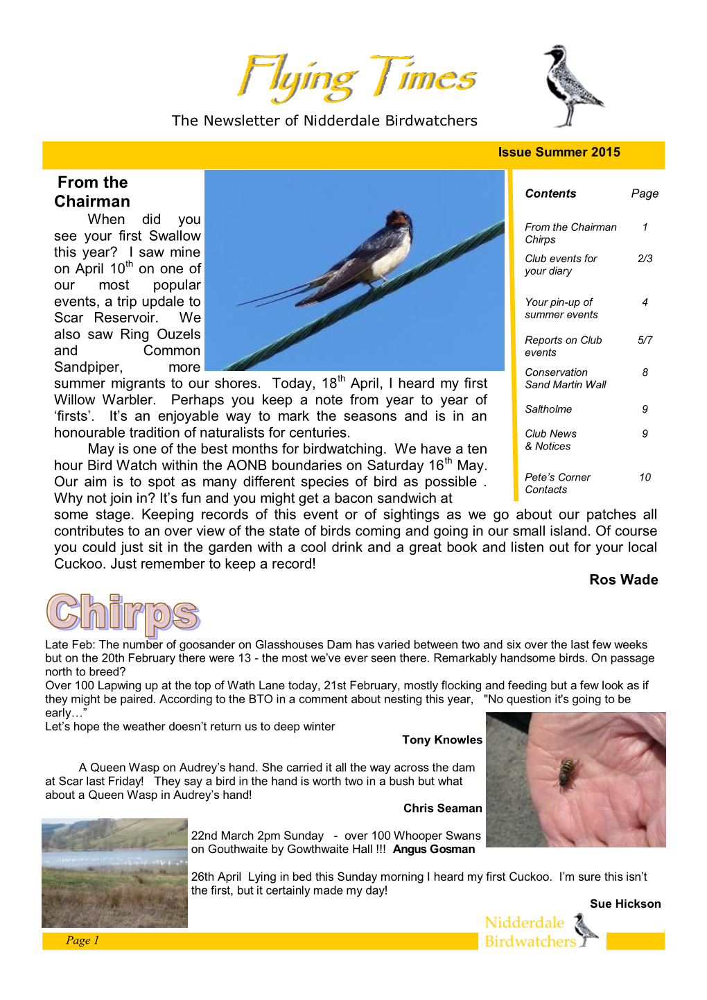 Summer Newsletter 2015