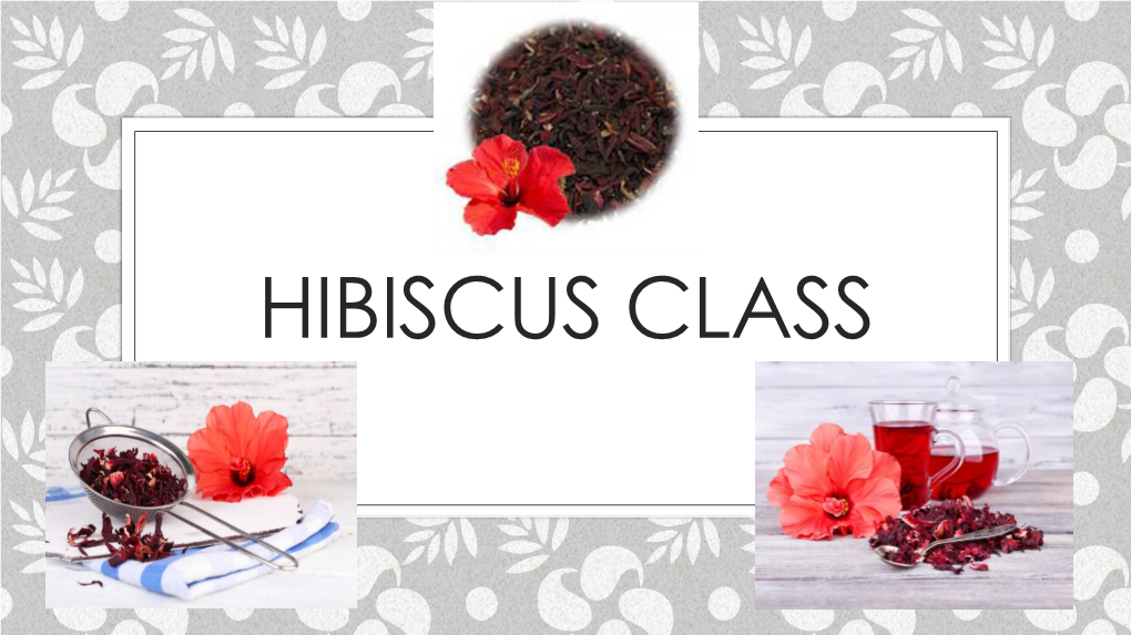 HIBISCUS CLASS Hibiscus