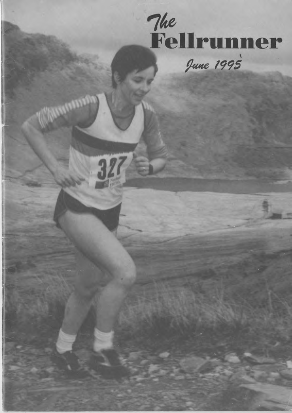 British Fell and Hill Relay Championships