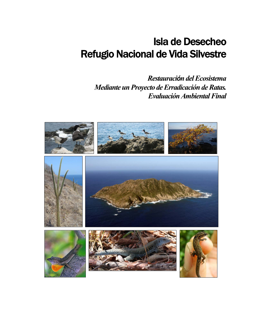 Isla De Desecheo Refugio Nacional De Vida Silvestre