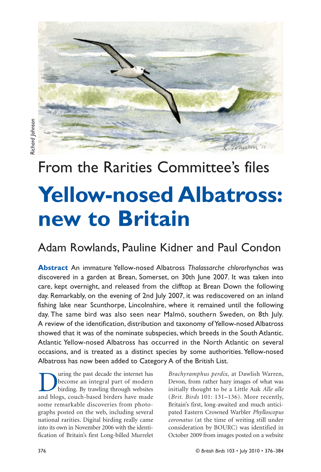 Yellow-Nosed Albatross: New to Britain Adam Rowlands, Pauline Kidner and Paul Condon
