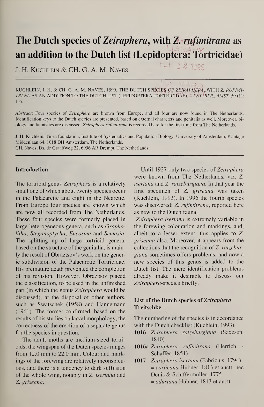 The Dutch Species of Zeiraphera, with Z. Rufimitrana As an Addition to the Dutch List (Lepidoptera: Tortricidae)