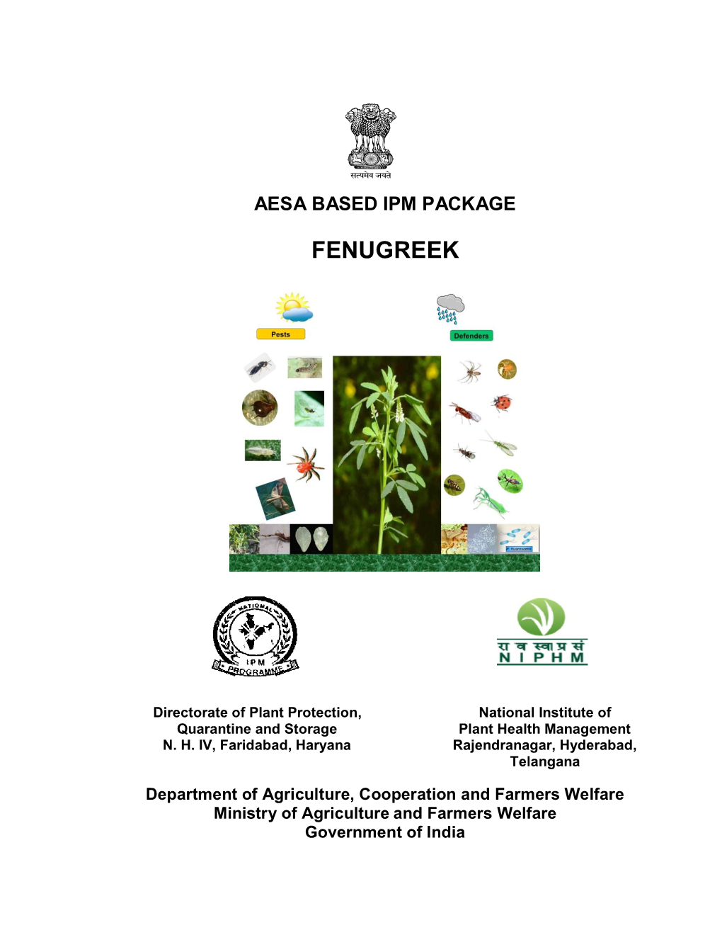 Aesa Based Ipm Package