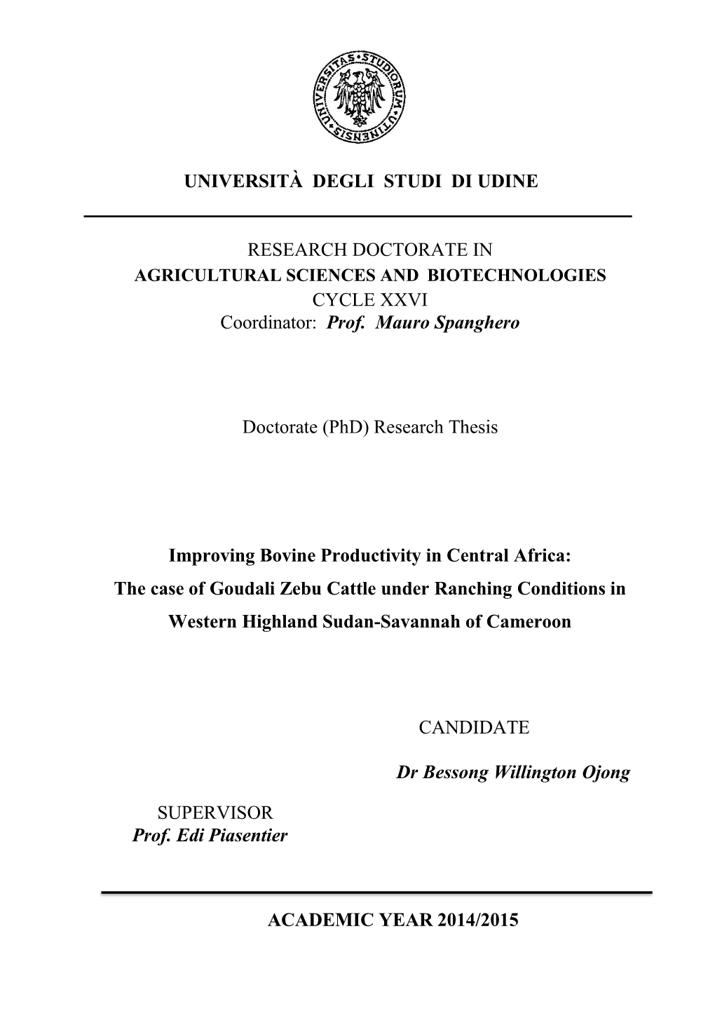 Università Degli Studi Di Udine Research Doctorate