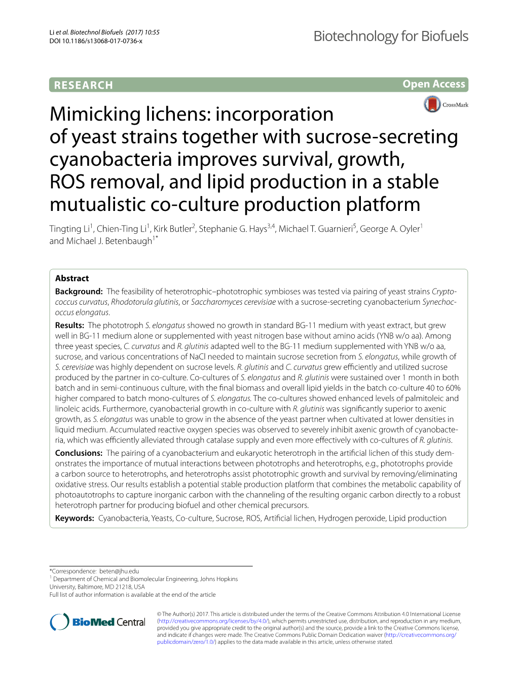 Incorporation of Yeast Strains Together with Sucrose-Secreting