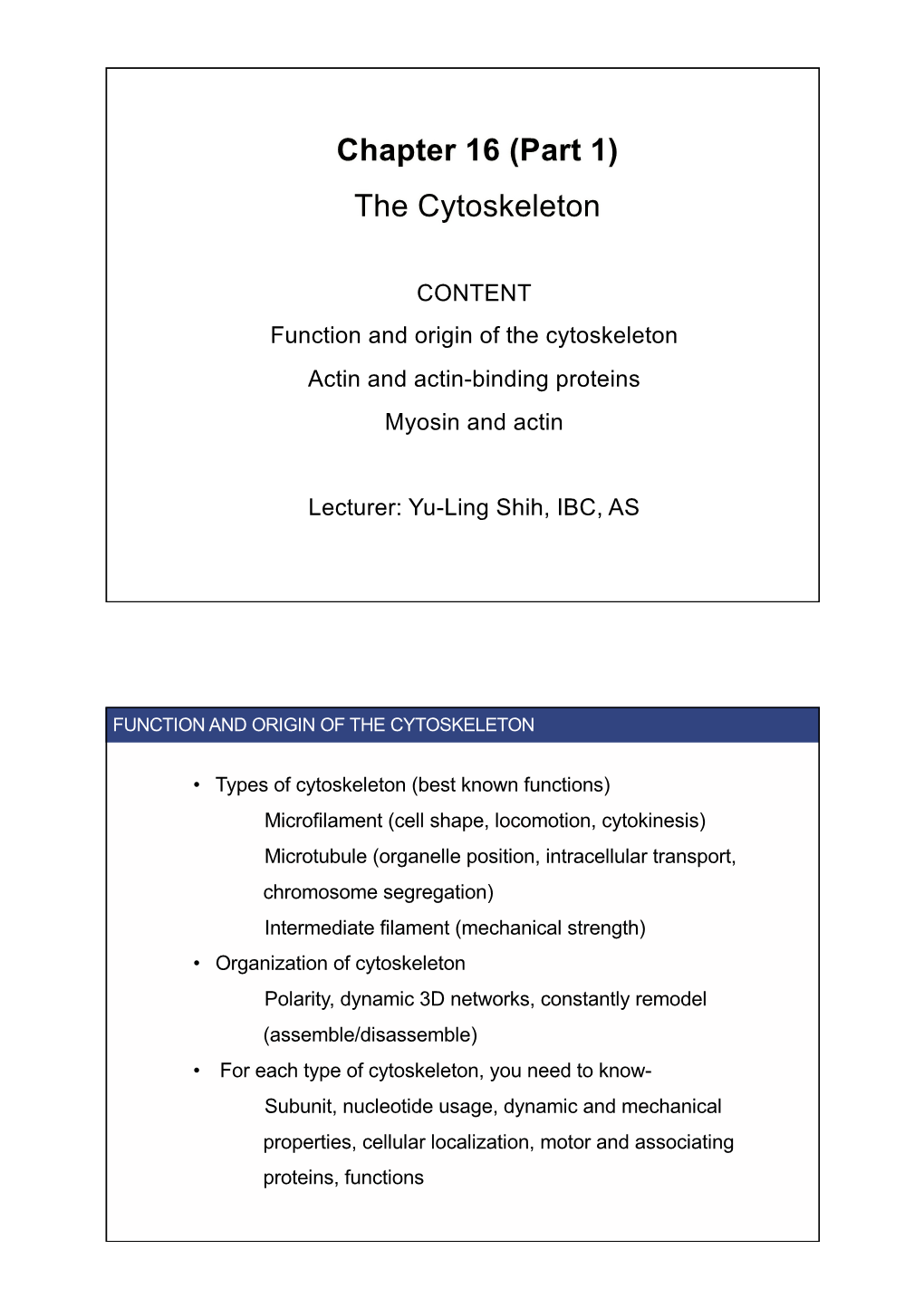 Chapter 16 (Part 1) the Cytoskeleton