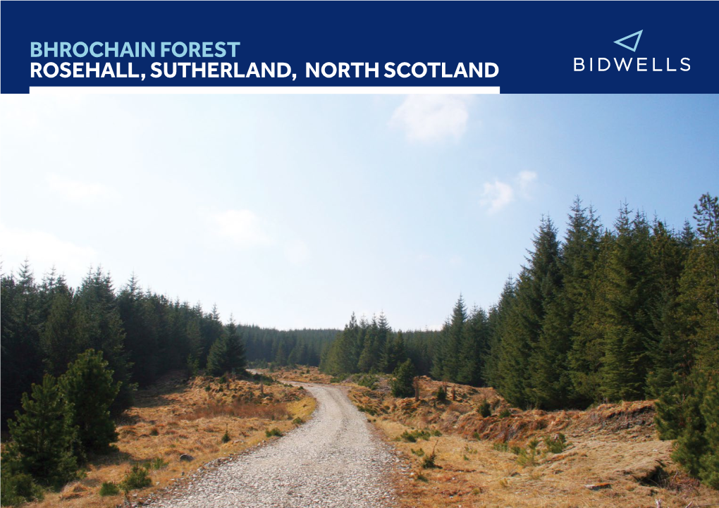 Bhrochain Forest Rosehall, Sutherland, North Scotland